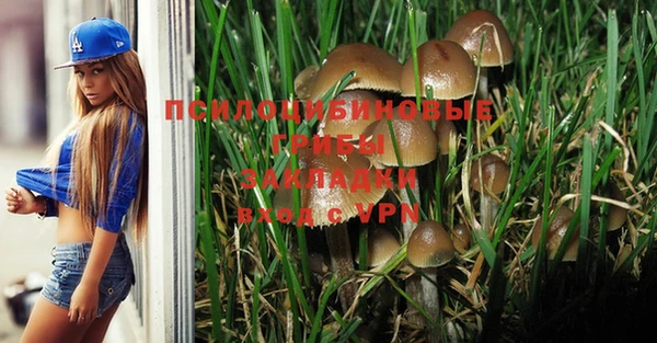 прущая мука Алзамай